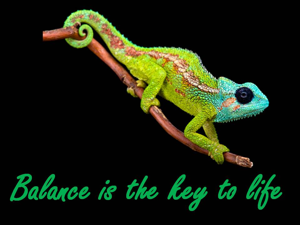 Sinnbild zu Balance is the key to life